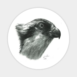 Osprey - bird of prey - fish hawk - bird lover Magnet